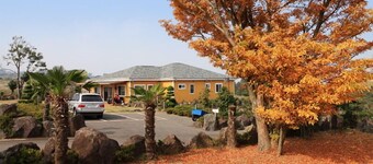 Skyline Pension