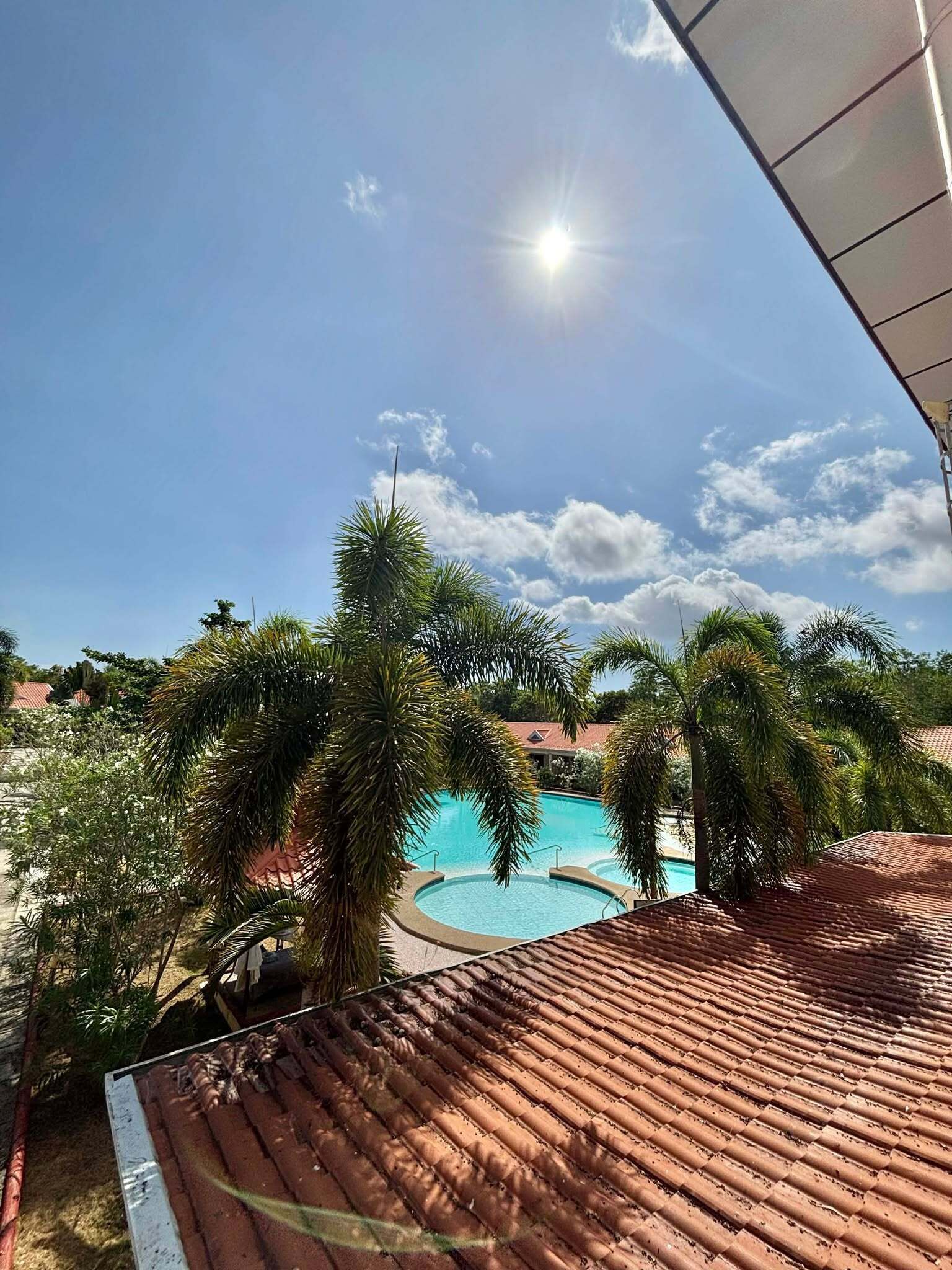 A clear blue sky, a swimming pool surrounded by palm trees, and a red-tiled roof.