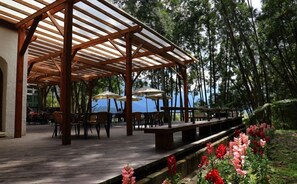 Cocina taiwanesa, con vista al jardín 