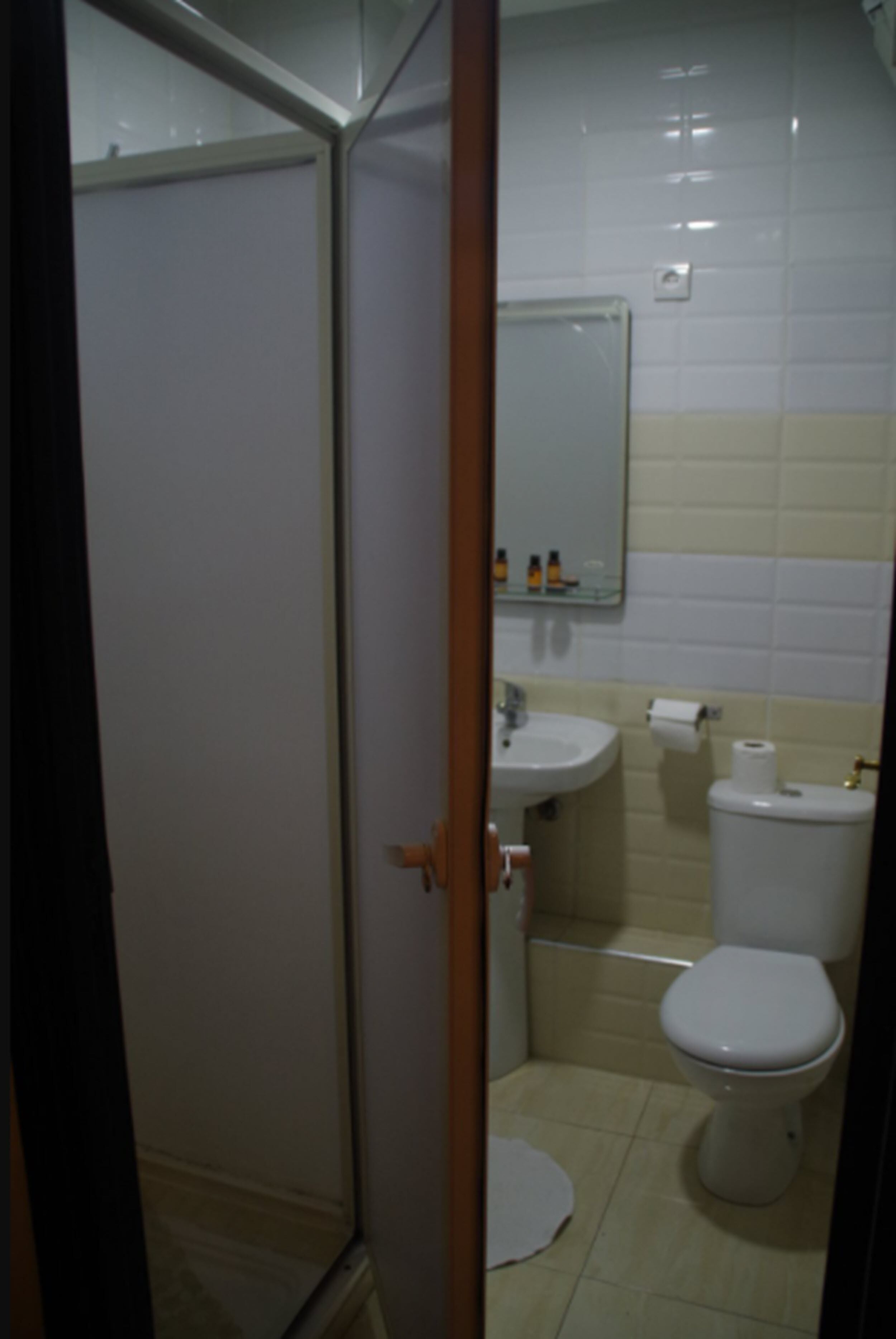suite | bathroom | shower, free toiletries, hair dryer, bidet