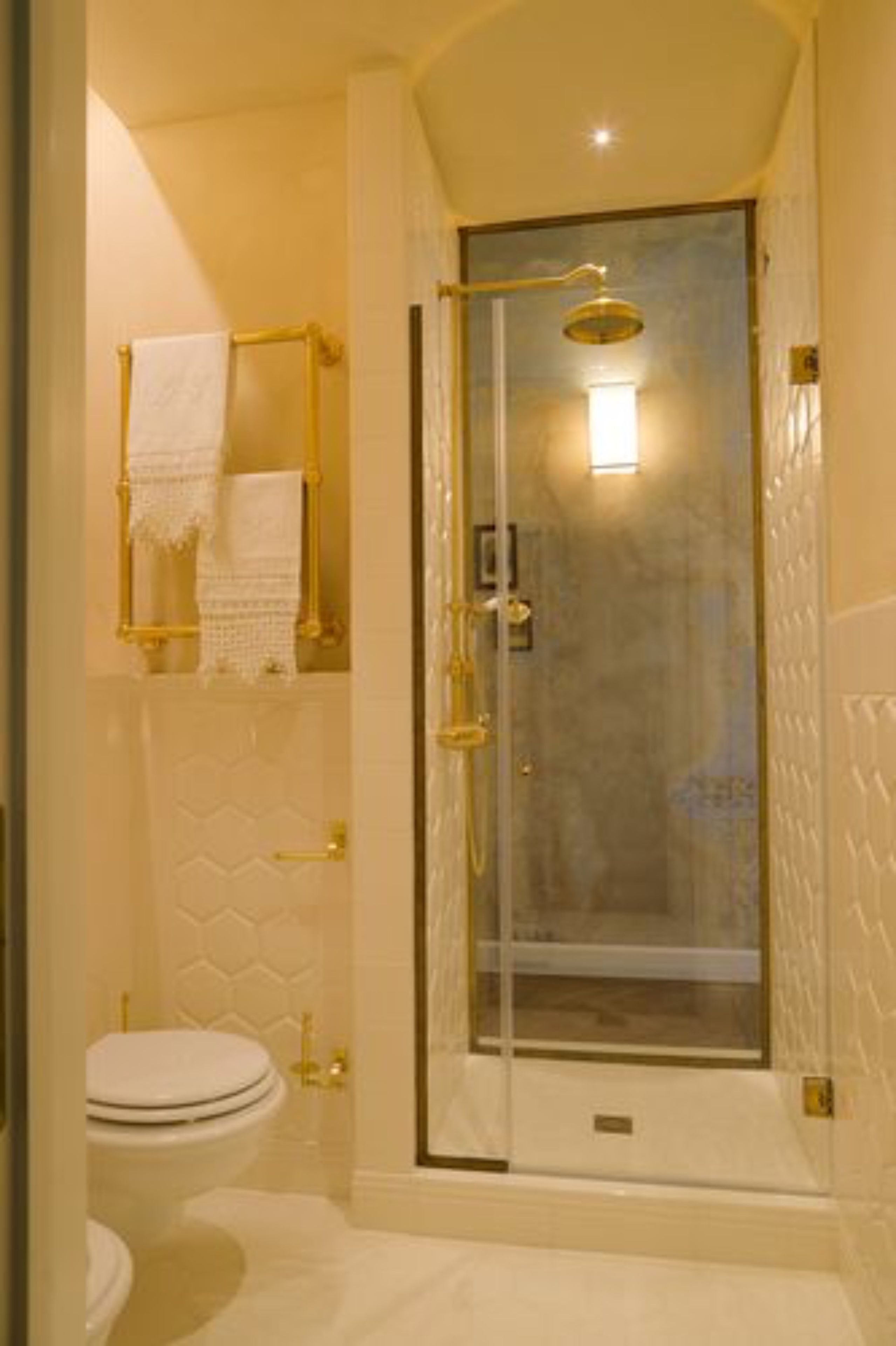 A bathroom with a glass-enclosed shower, a toilet, and a towel rack with a towel.