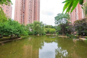 Lake - Central Park (Suzhou)