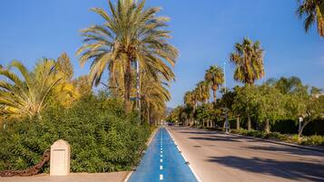 A clear blue bike lane with directional arrows and a cyclist symbol, flanked by palm trees and a sidewalk.