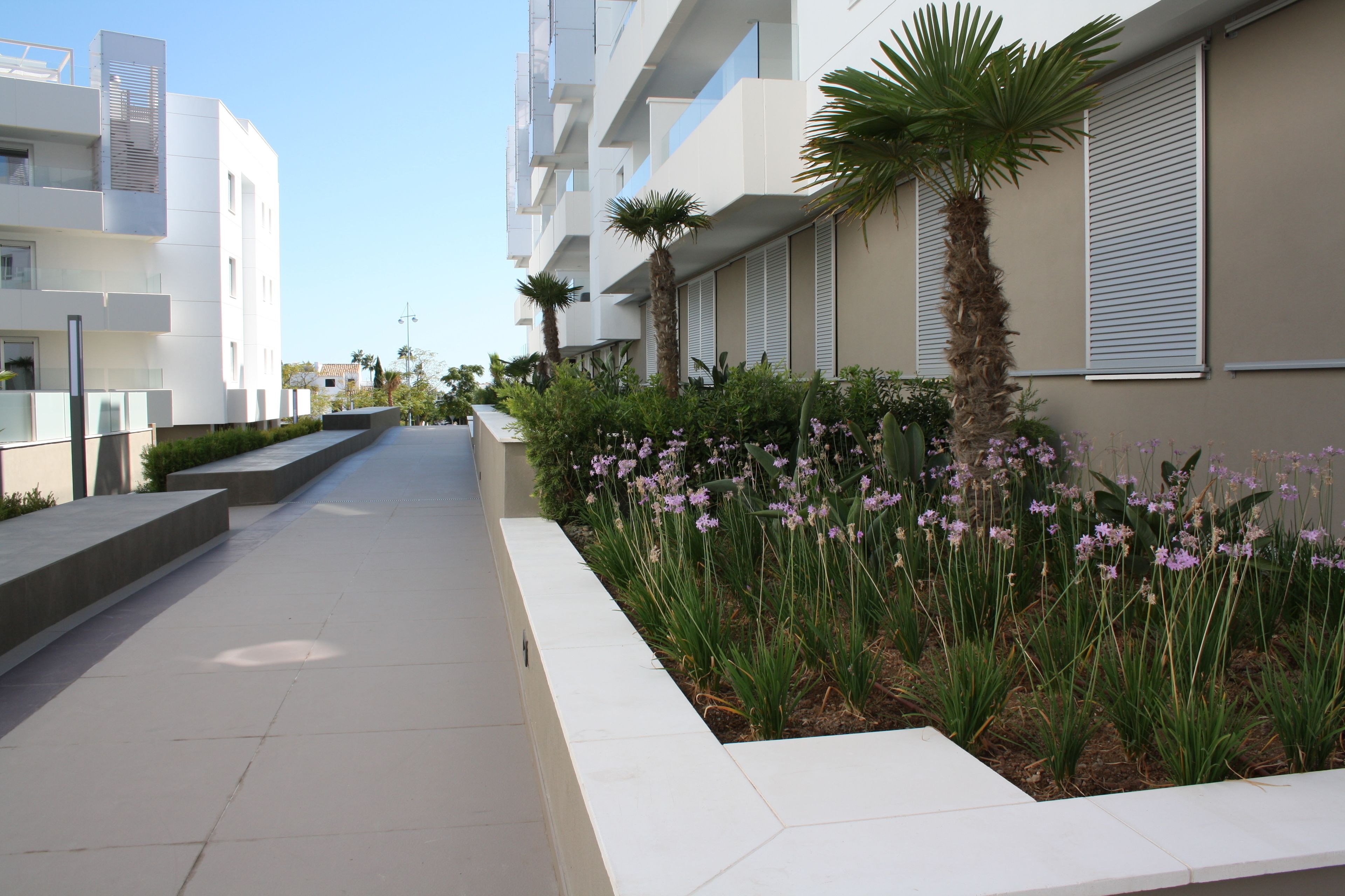 Un edificio moderno con fachada blanca y limpia, techo plano y un estrecho sendero bordeado de plantas y flores.