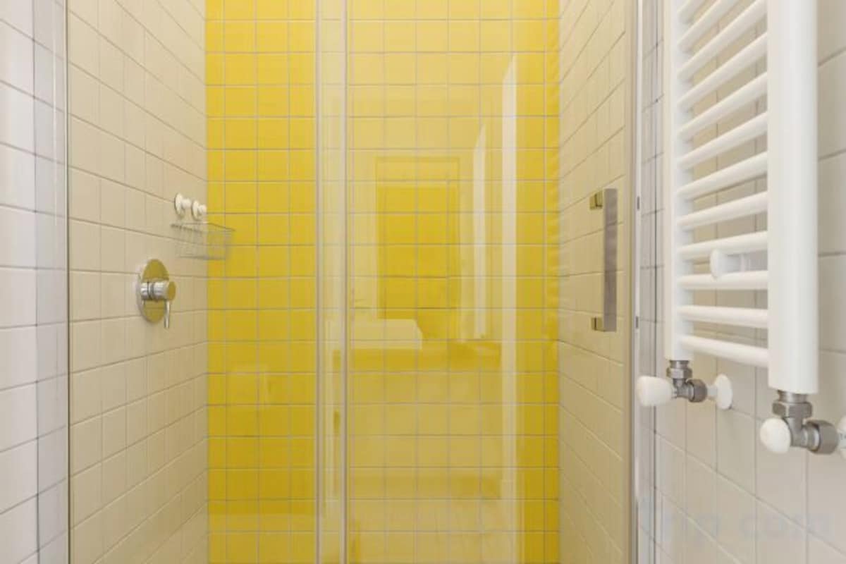 Shower, hair dryer, soap, shampoo