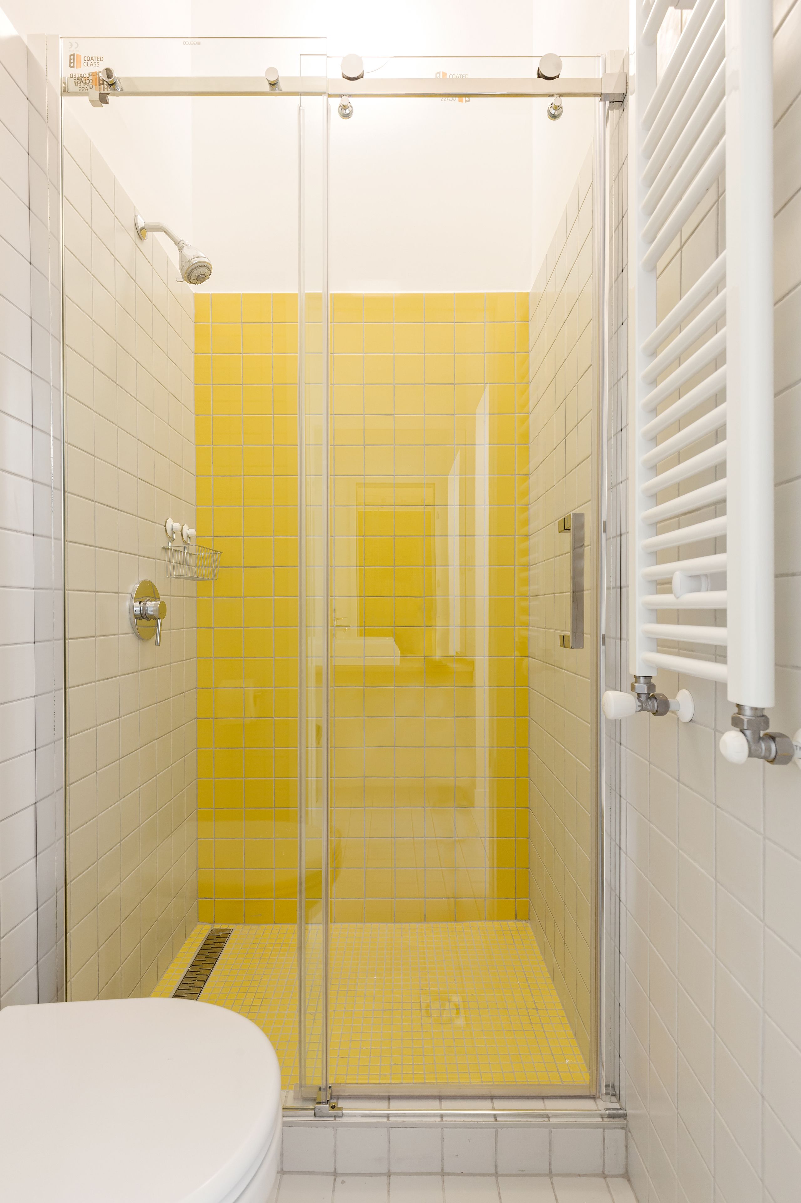 A bathroom with a shower enclosure, a toilet, and a towel rack.