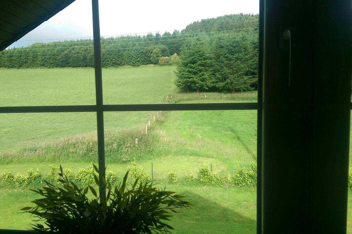 A view through a window with a grid pattern, overlooking a green field and a forested hill.