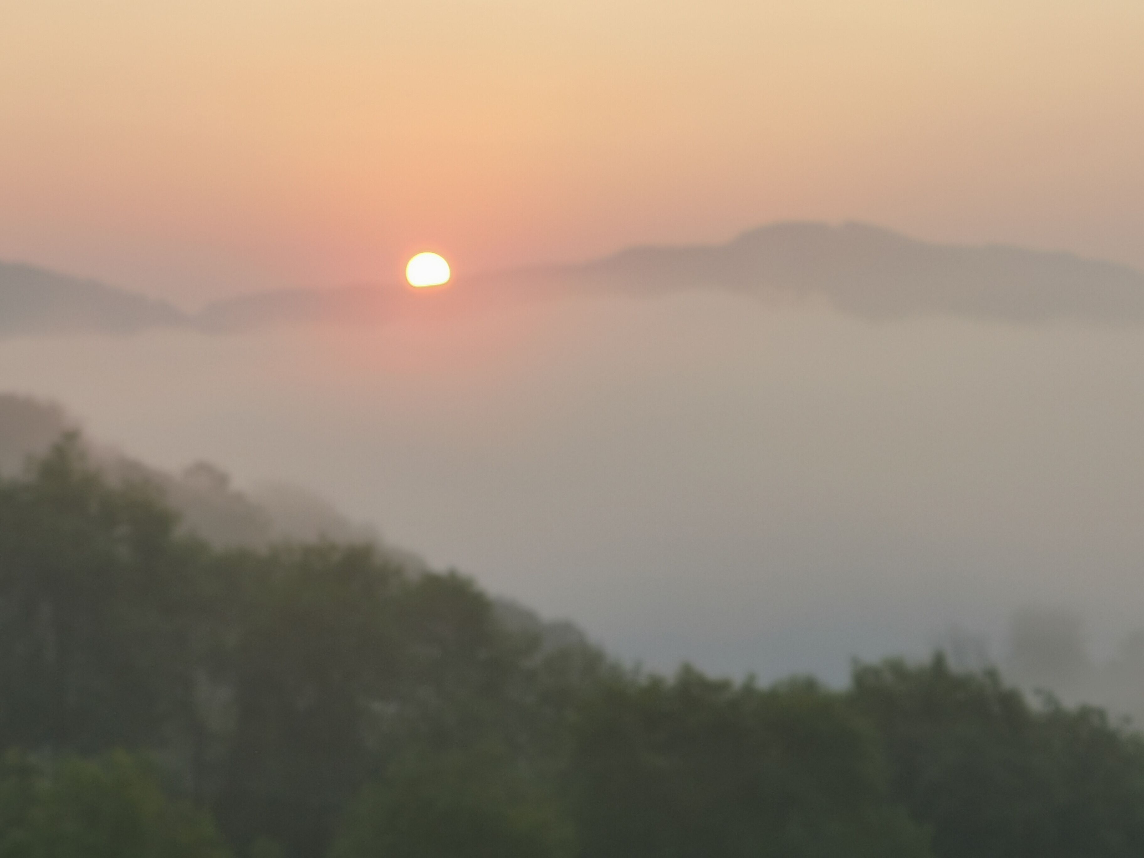 Ein Sonnenaufgang über einer Berglandschaft mit dichtem Wald im Vordergrund.