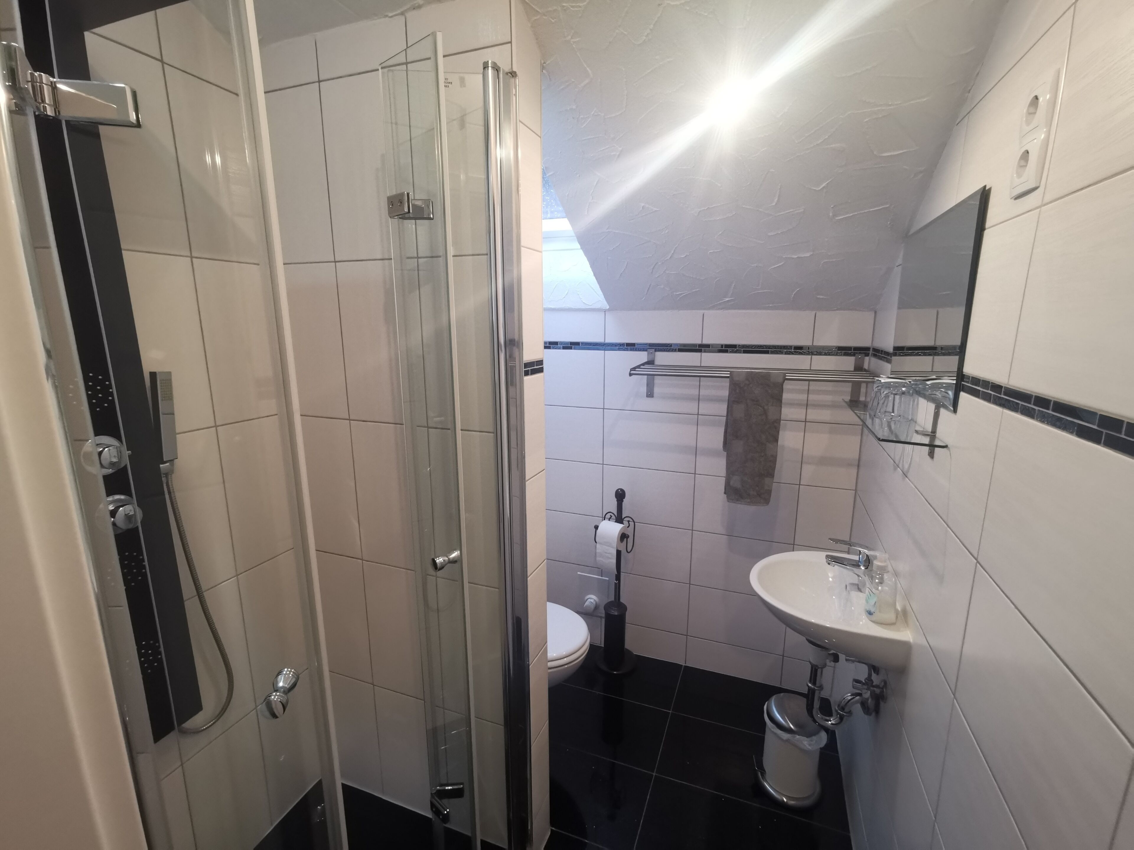 A modern bathroom with a glass-enclosed shower, a toilet, and a sink with a mirror above it.