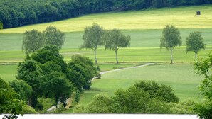 Un paisaje rural con un sendero de tierra, campos verdes y árboles dispersos.
