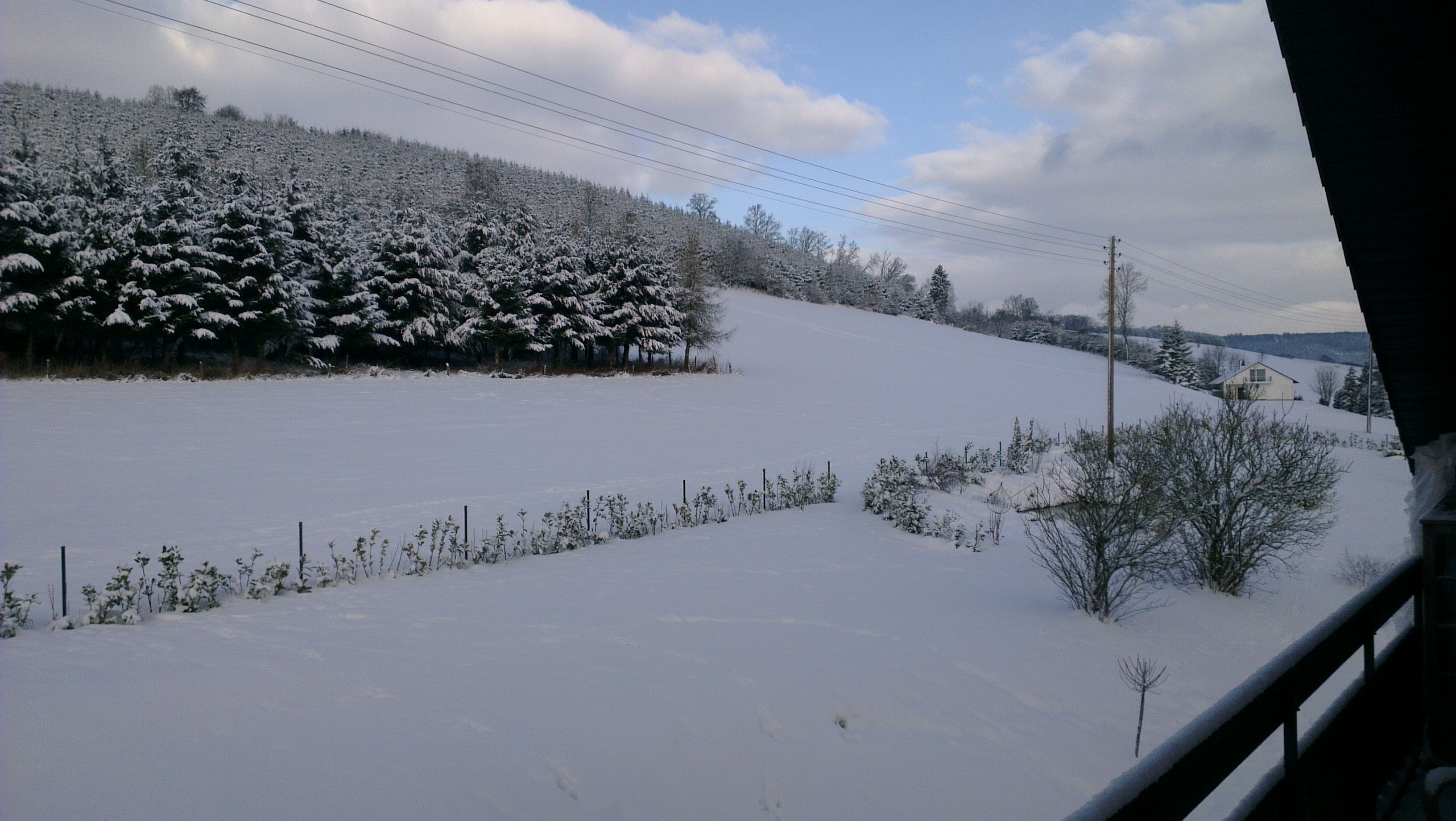 A snowy landscape with a fence and trees.