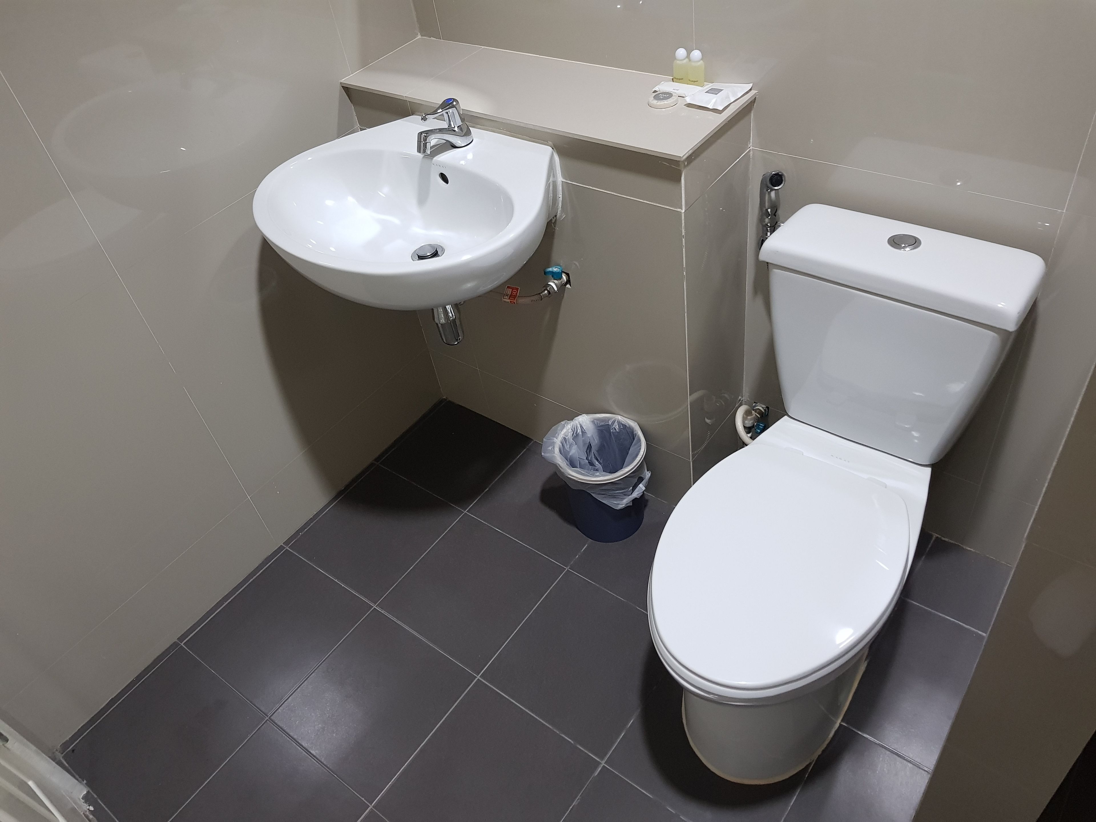 A bathroom with a white sink, a toilet, and a trash bin.