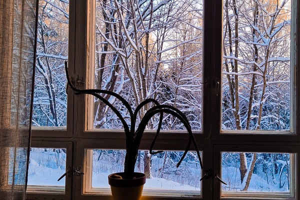 Family Room, Shared Bathroom | View from room