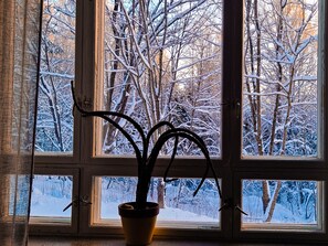 Una ventana, con una planta en maceta al frente y un paisaje nevado en el exterior.