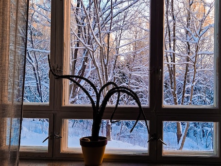 Vista desde la habitación