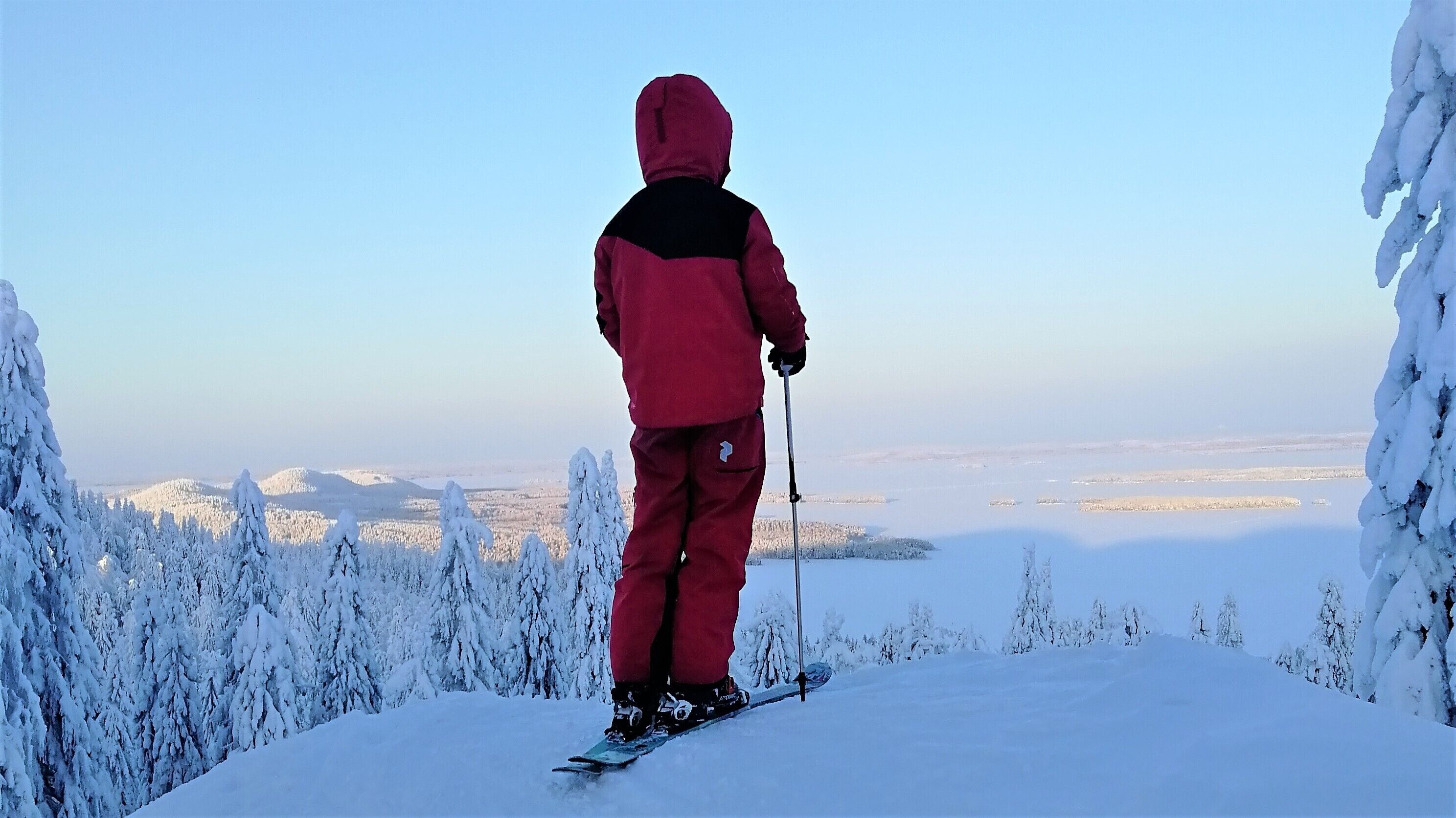 A person skiing on a snowy slope with a clear view of a snowy landscape and trees.
