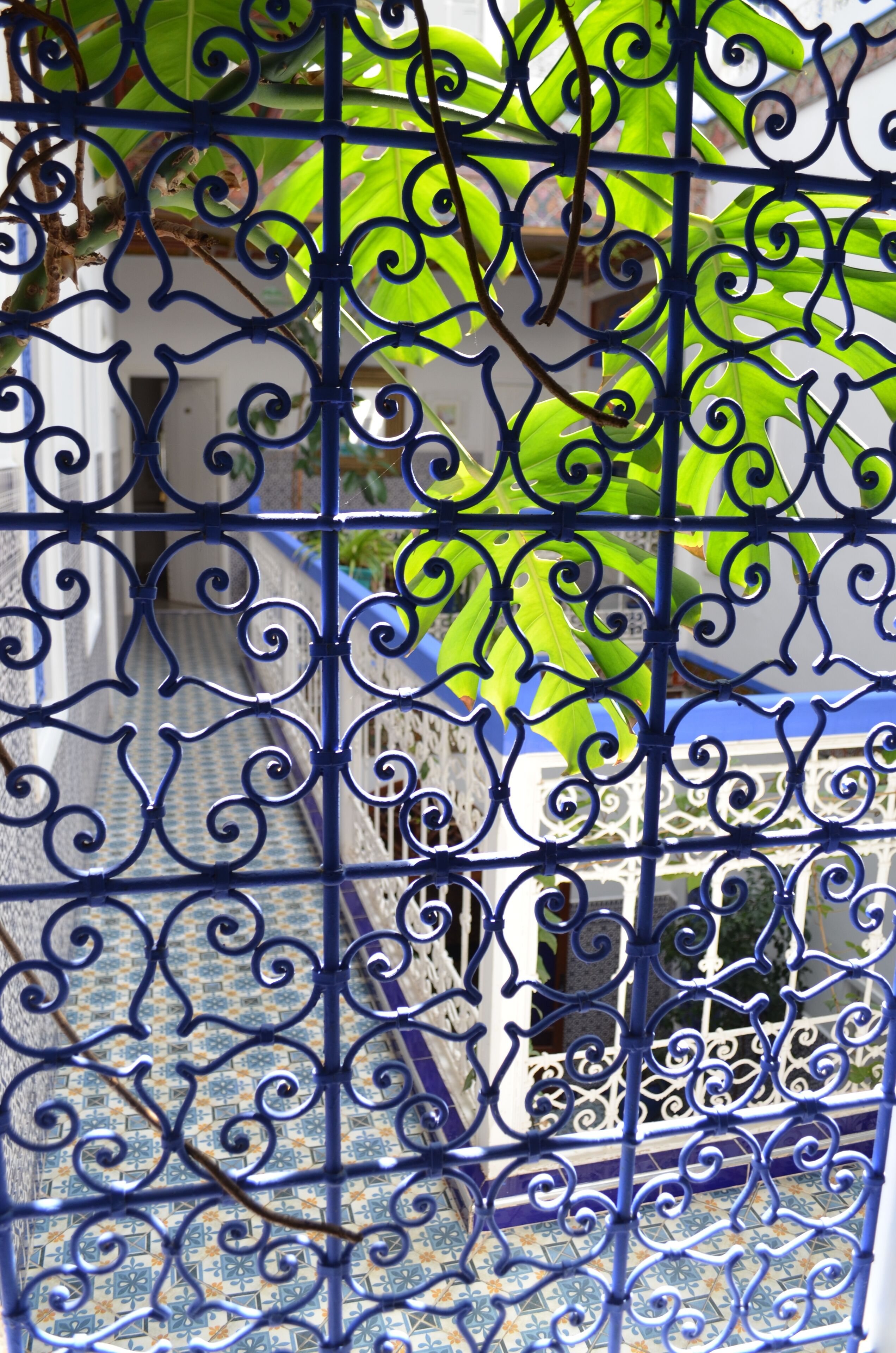 Photo - Riad Hôtel Essaouira