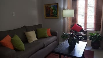 Exclusive Apartment, 1 Bedroom, Kitchen, Mountain View | Living room | 50-inch flat-screen TV with cable channels, TV, DVD player