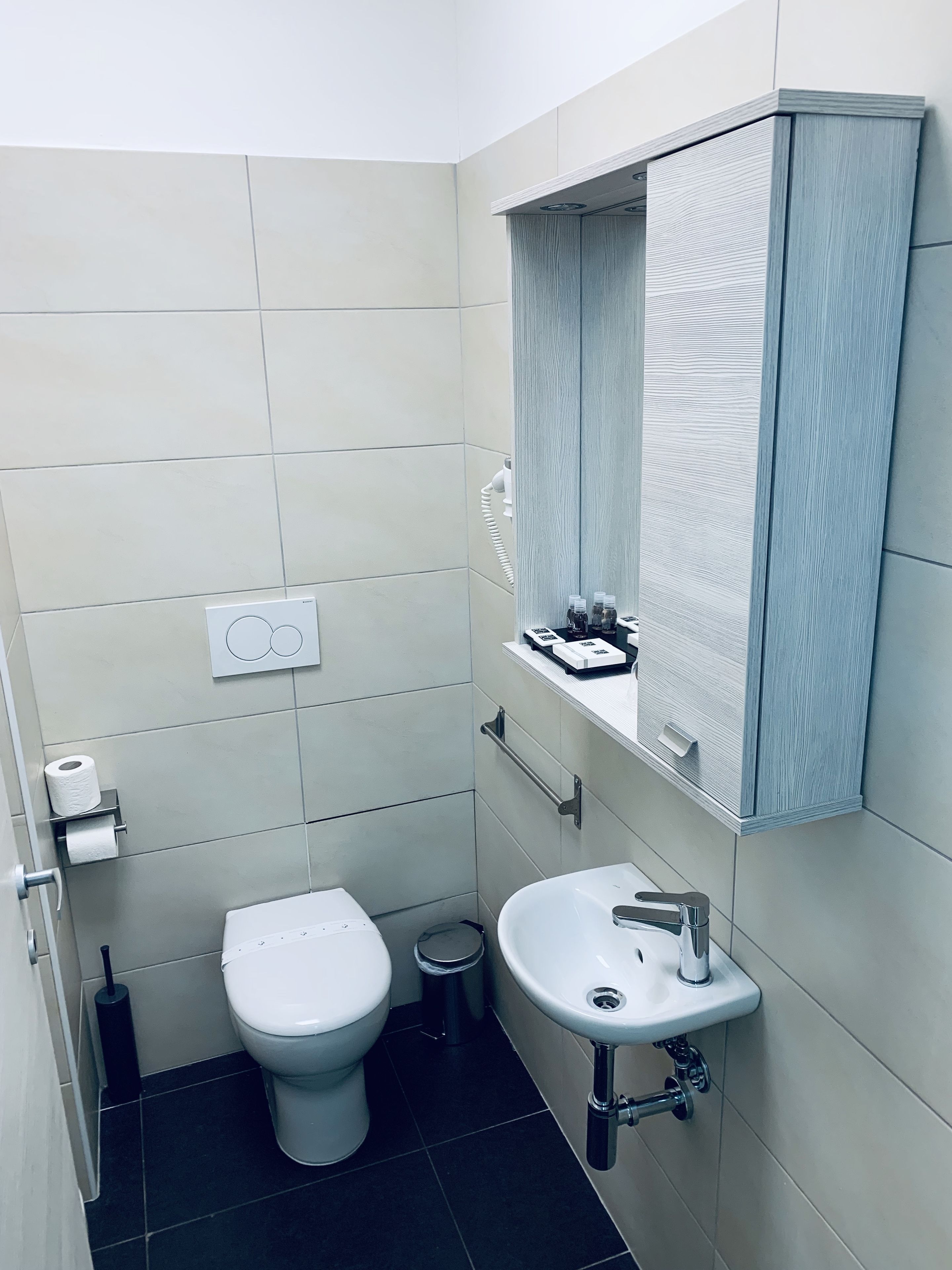 shower, free toiletries, hair dryer, bidet