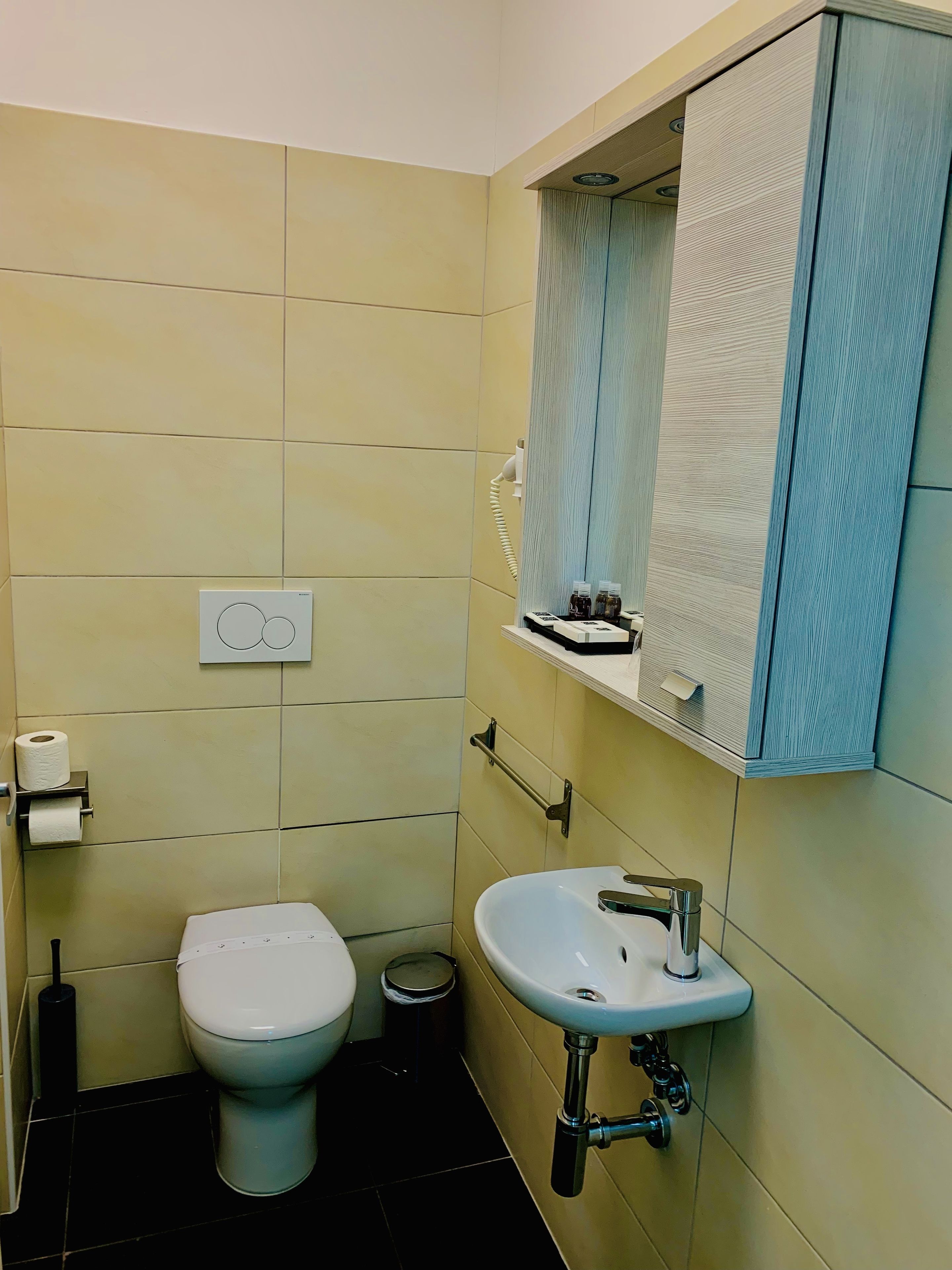 shower, free toiletries, hair dryer, bidet