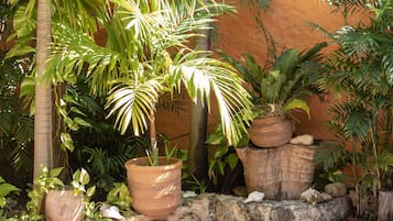 Jardín