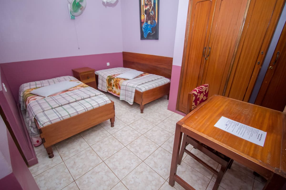Standard Double or Twin Room | Desk, WiFi (free)