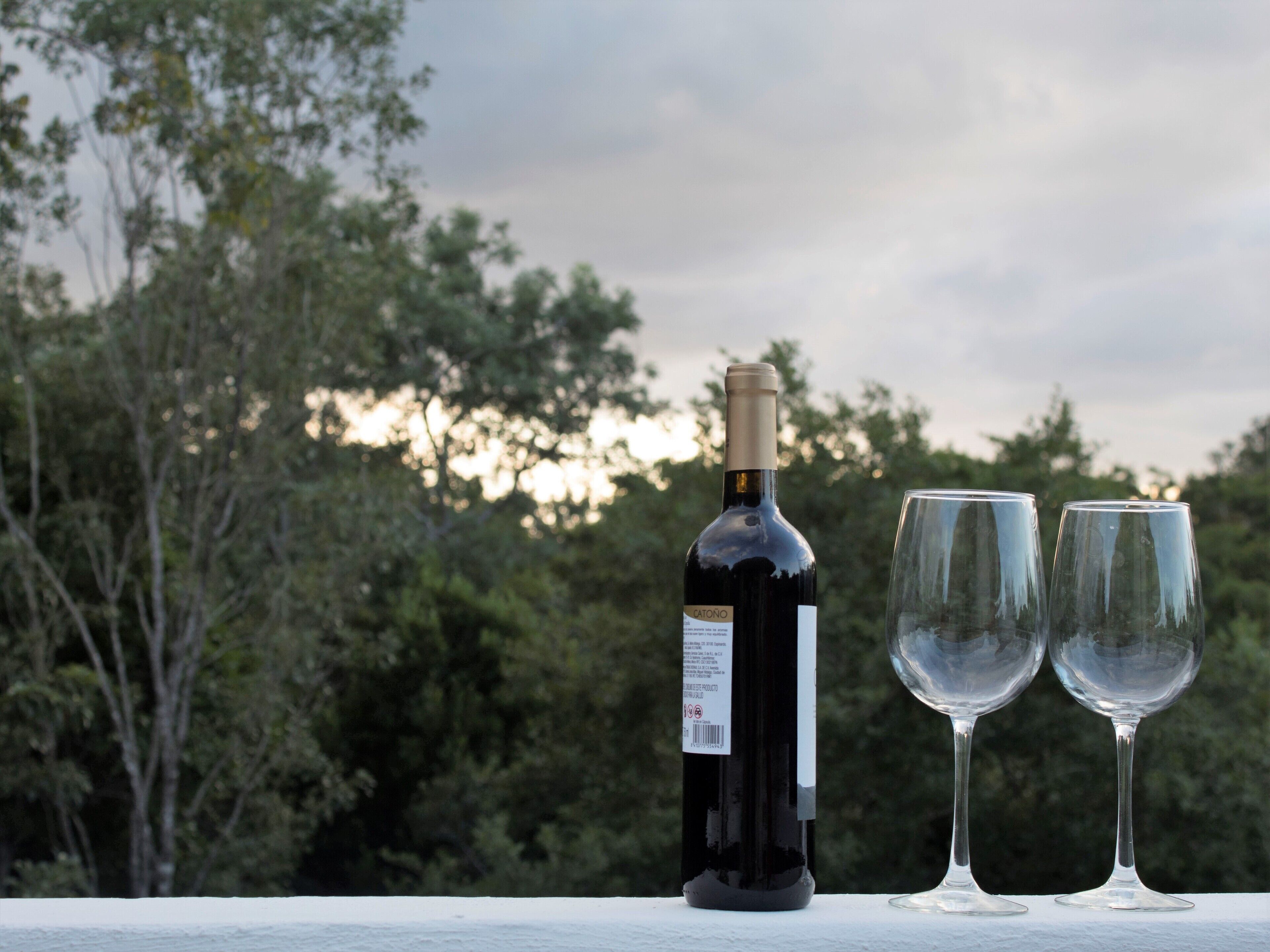 penthouse pureza | view from room