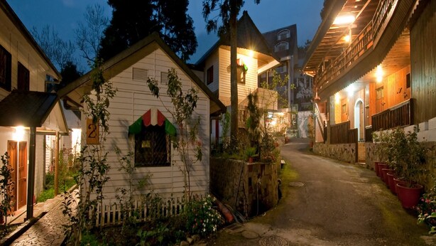 A narrow street with traditional wooden houses, a stone wall, and a small garden area with potted plants. - Gemlu Hotel (Lugu)