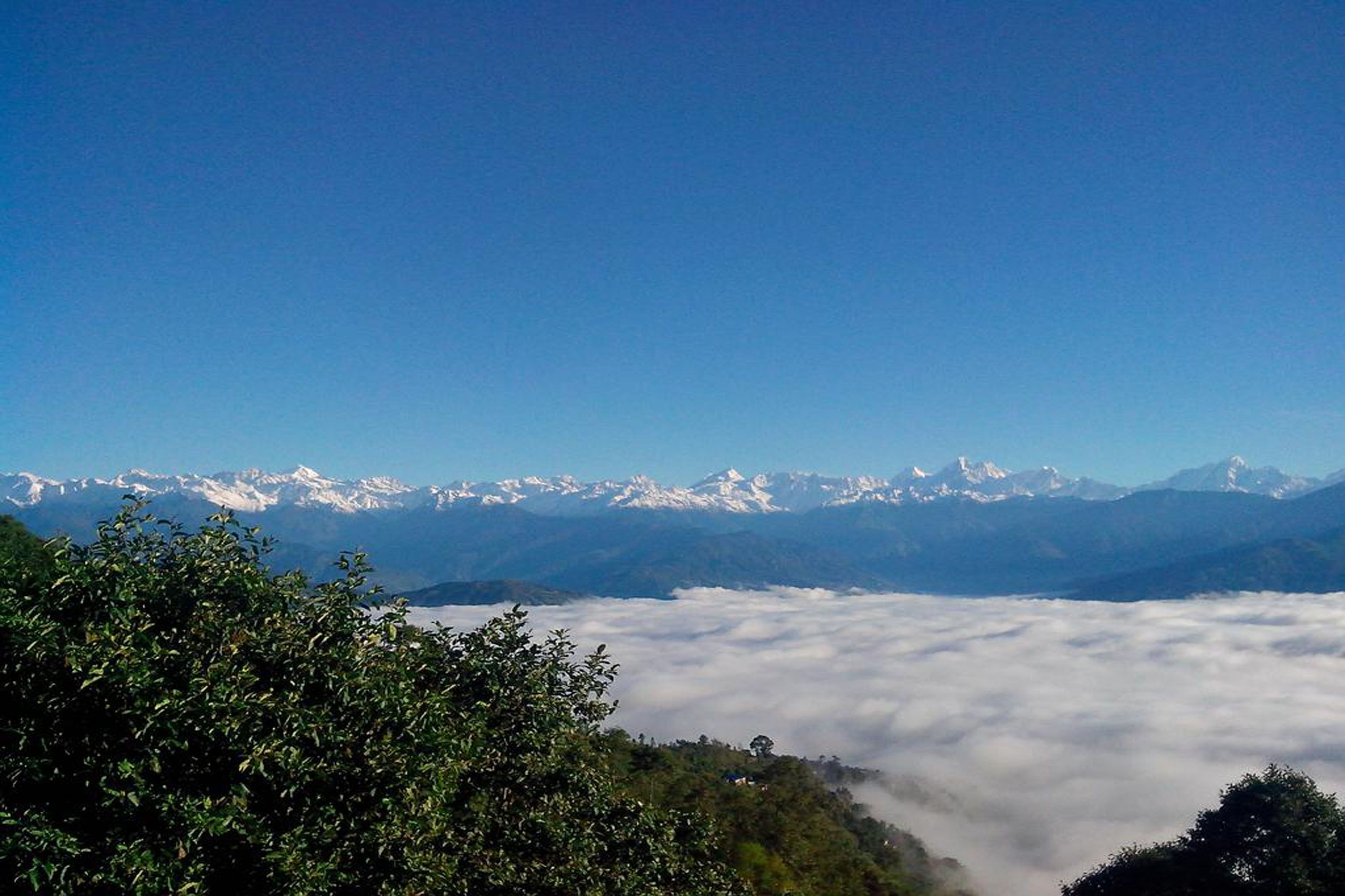 A mountain landscape with snow-capped peaks, a cloud-covered valley, and dense green foliage in the foreground.