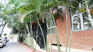 Un bâtiment à la façade en briques, doté d’un escalier et bordé d’une rangée de grands plants de bambou.
