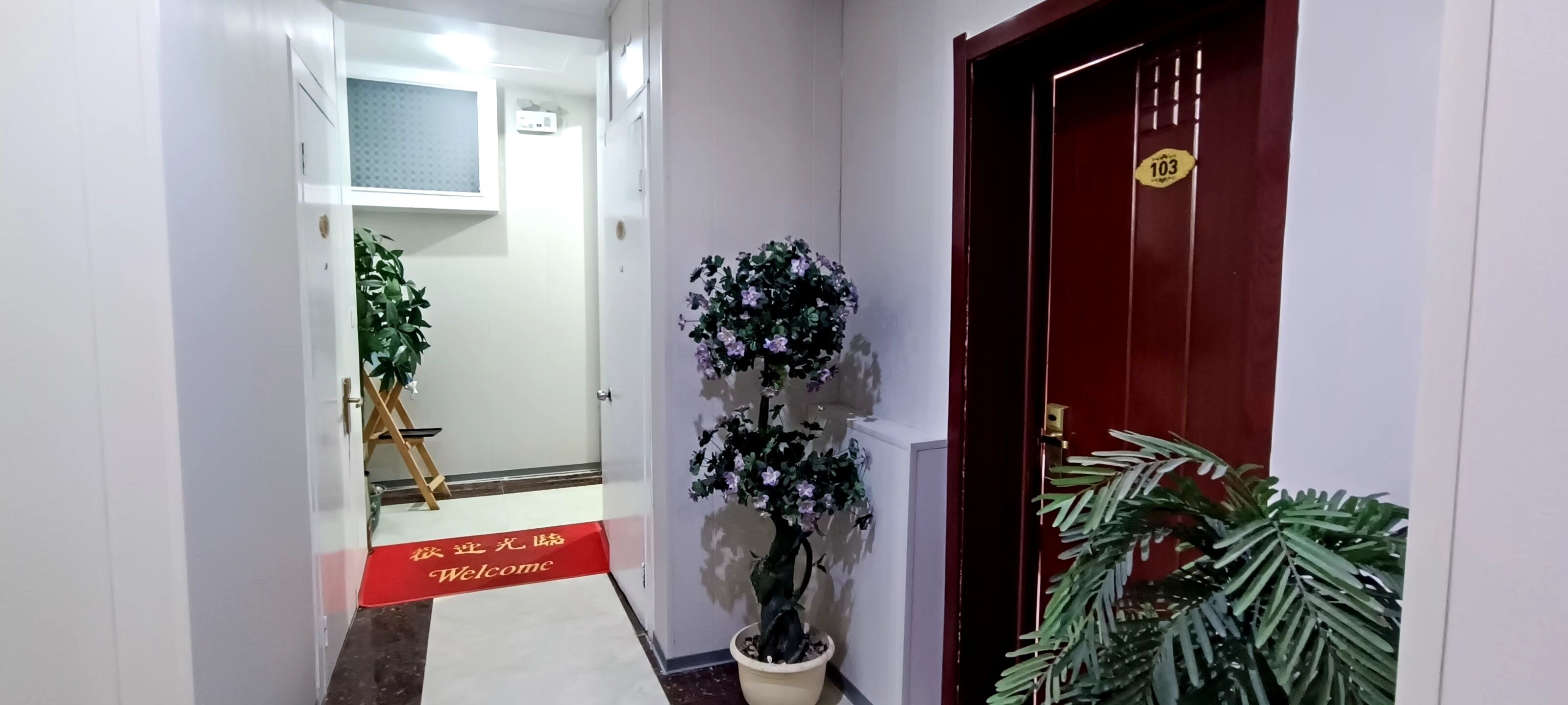 Un pasillo con un felpudo rojo, una planta en maceta y una puerta con el signo de número.