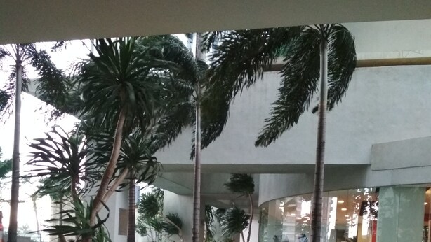 A pool area with palm trees and a tiled walkway. - Queens Service Suite at Swiss Garden Residences (Kuala Lumpur)