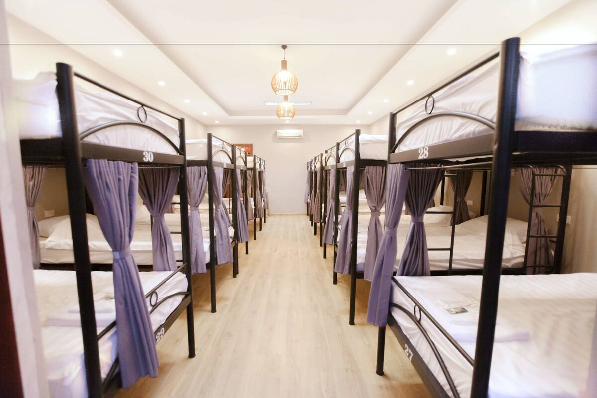 Bed in 12-Bed Shared Mixed Dorm