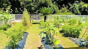 Un jardín con camas elevadas, diversas plantas y un área cercada.