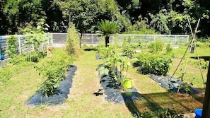 Jardín