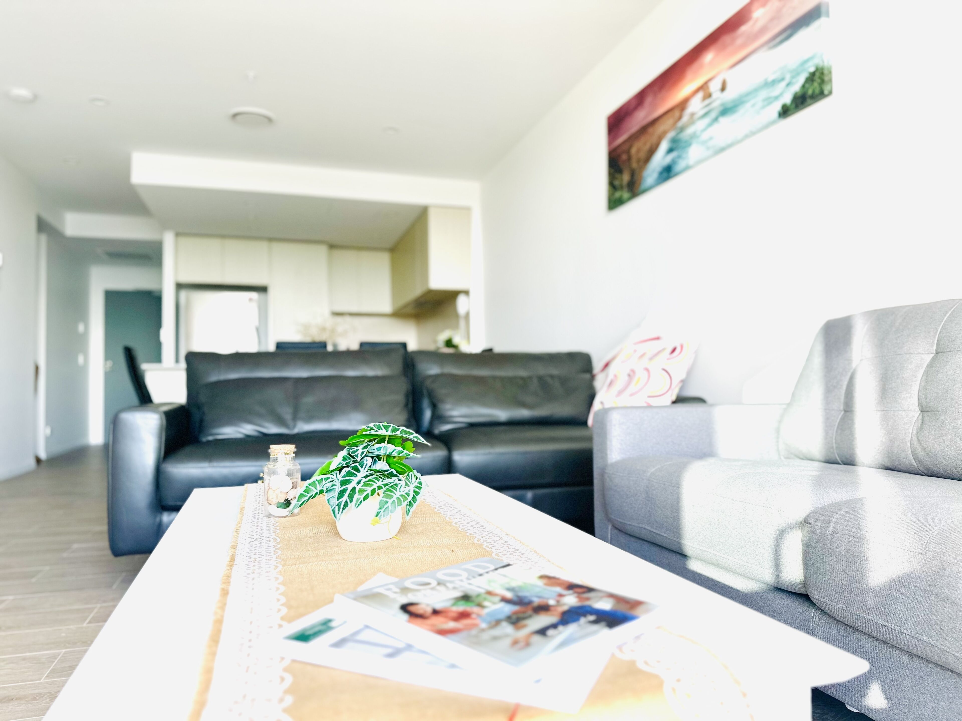 A modern living room with a grey sofa, a coffee table with magazines, and a potted plant.
