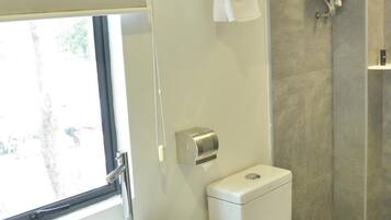 Shower, free toiletries, bidet, towels