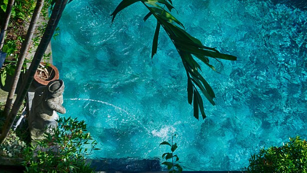A clear blue pool surrounded by lush greenery and a stone statue. - Rumah Roda (Ubud)