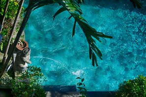 A clear blue pool surrounded by lush greenery and a stone statue. - Rumah Roda (Ubud)