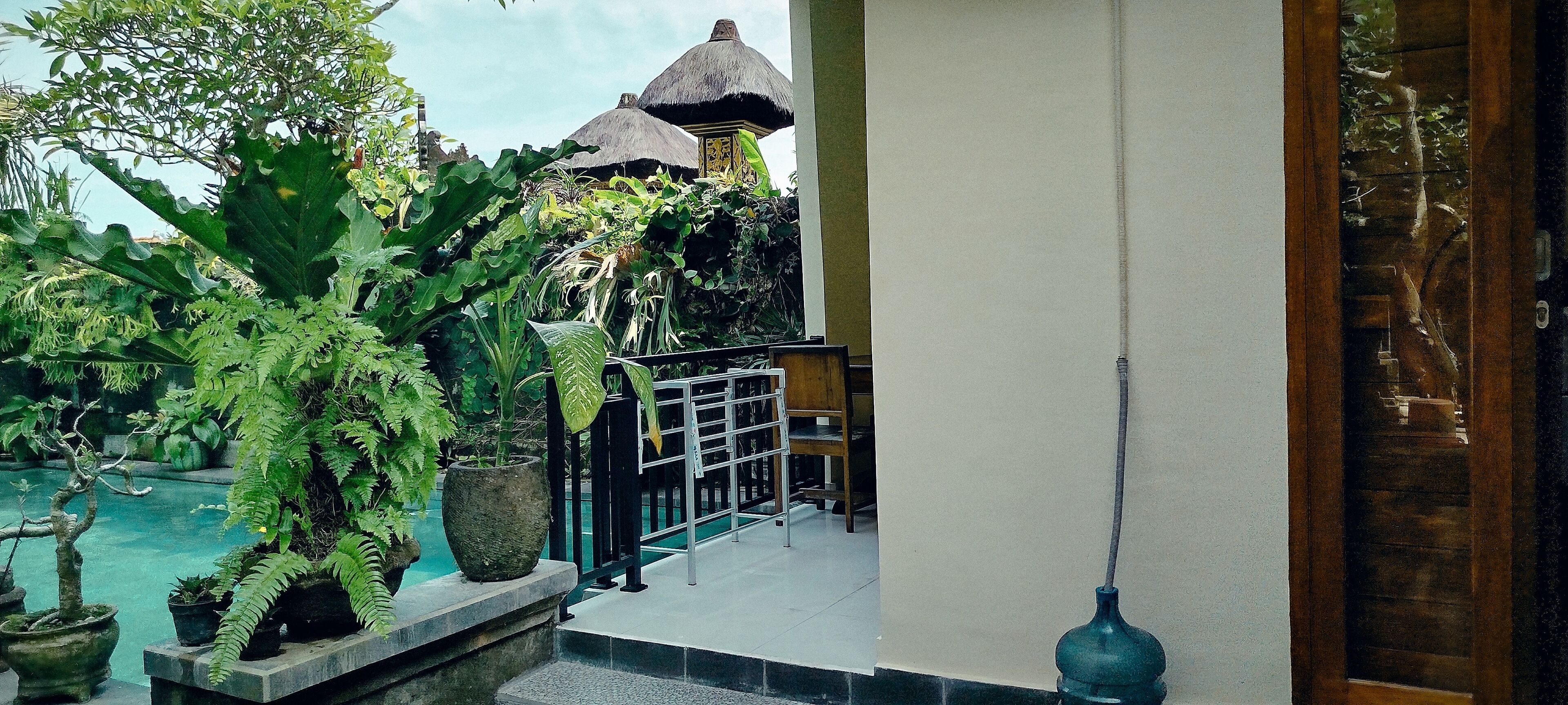A view of a pool area with potted plants and a thatched-roof structure.
