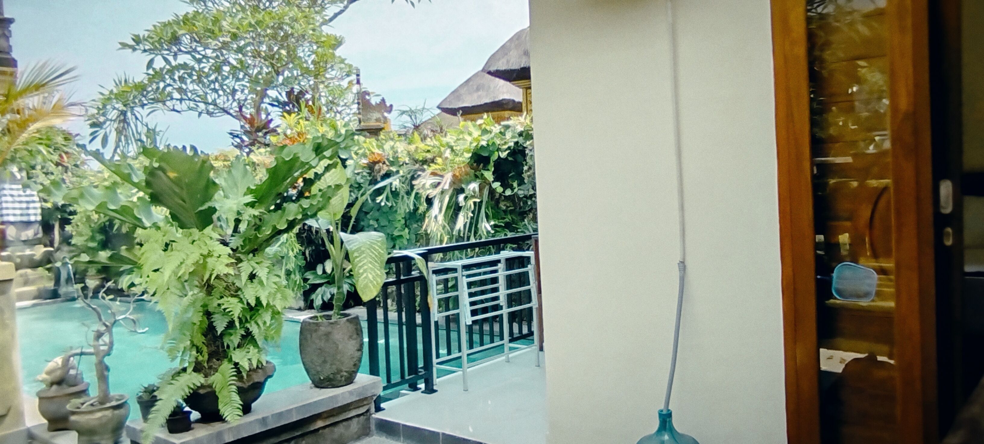 A pool area with potted plants and a thatched-roof structure.