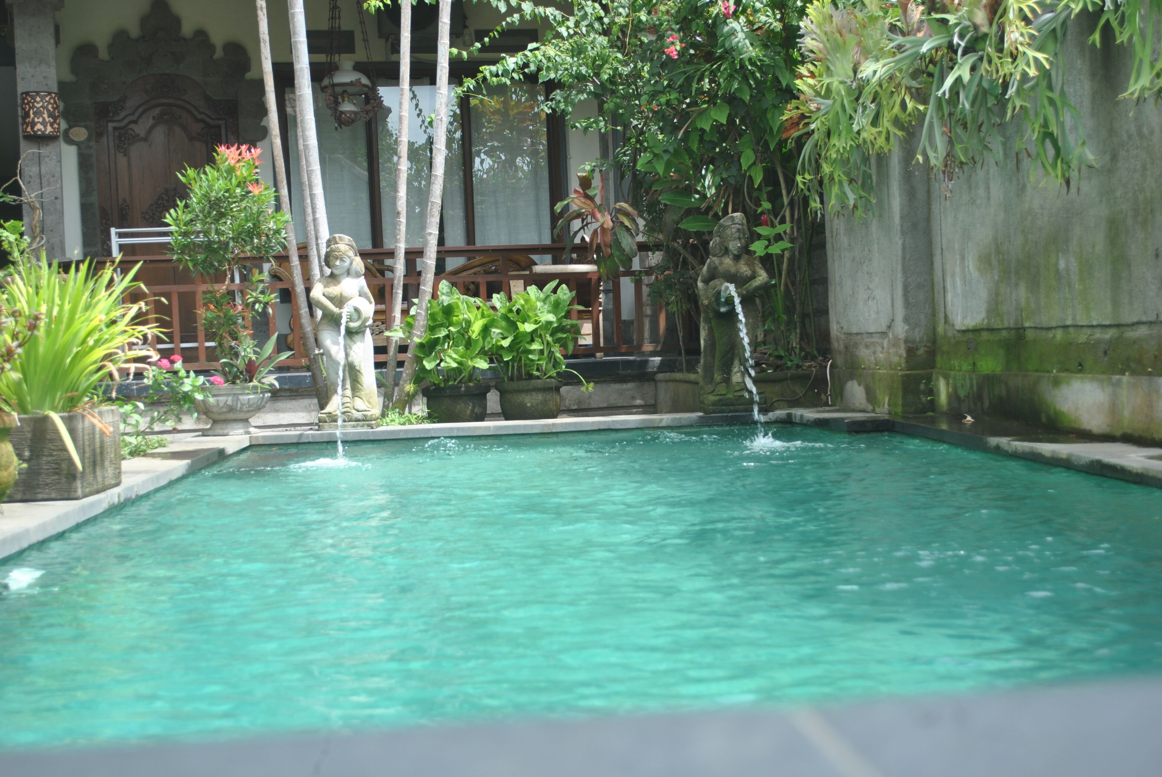 Un área de piscina tranquila con una estatua, abundante follaje y una puerta de madera tradicional al fondo.