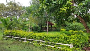 Un jardin luxuriant, agrémenté d’une clôture en bois, d’un belvédère et de diverses plantes vertes.