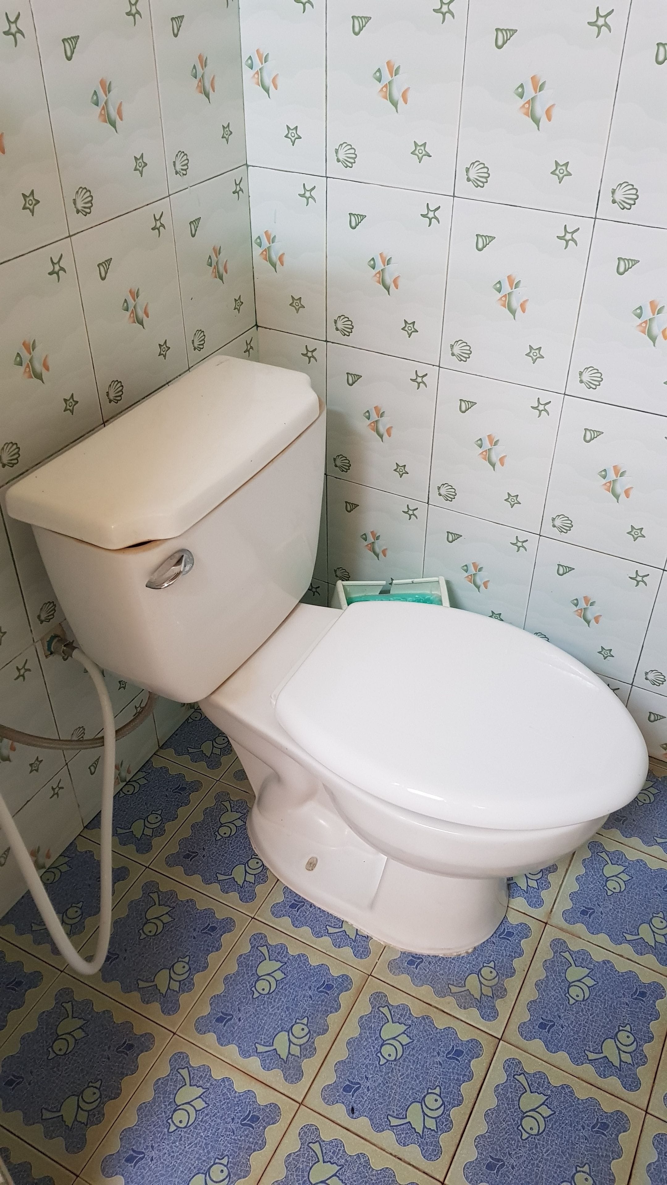 Standard Room | 욕실 | 샤워 시설, 무료 세면용품, 타월