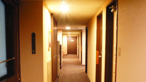A hotel hallway with carpeted floors, doors on both sides, and a light at the end. - Hotel Free Style (Kofu)