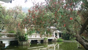 Ảnh chưa phân loại, 5 trong số 21 ảnh, nút