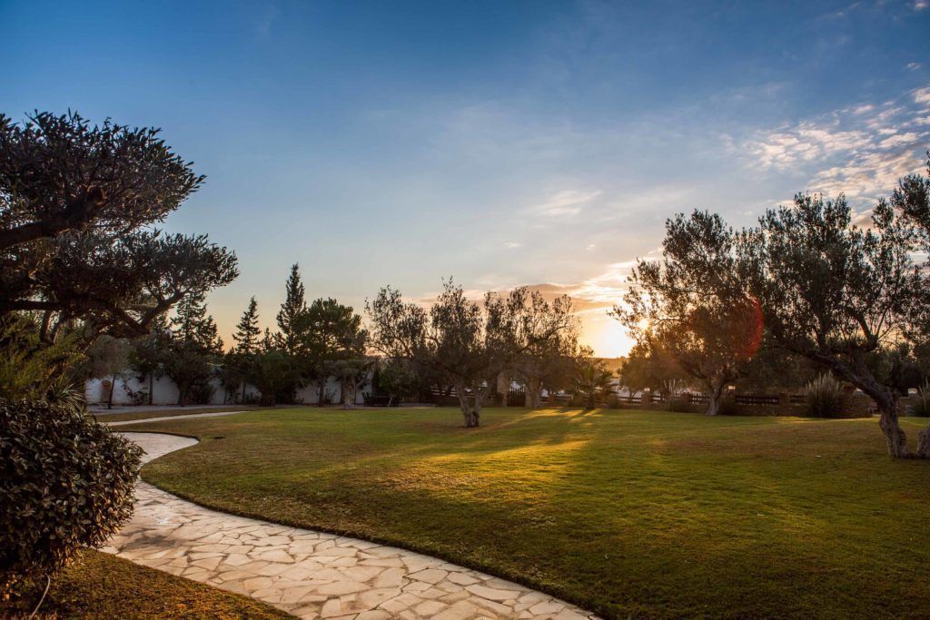 Photo - MUSES Hammamet