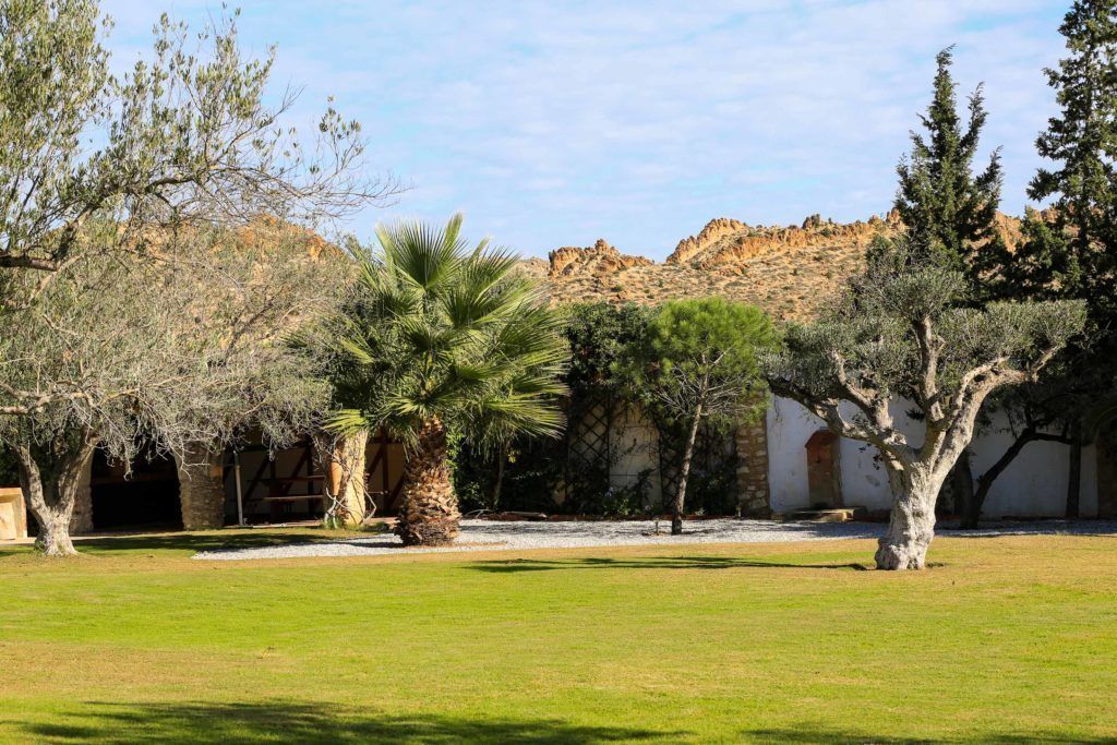 Photo - MUSES Hammamet