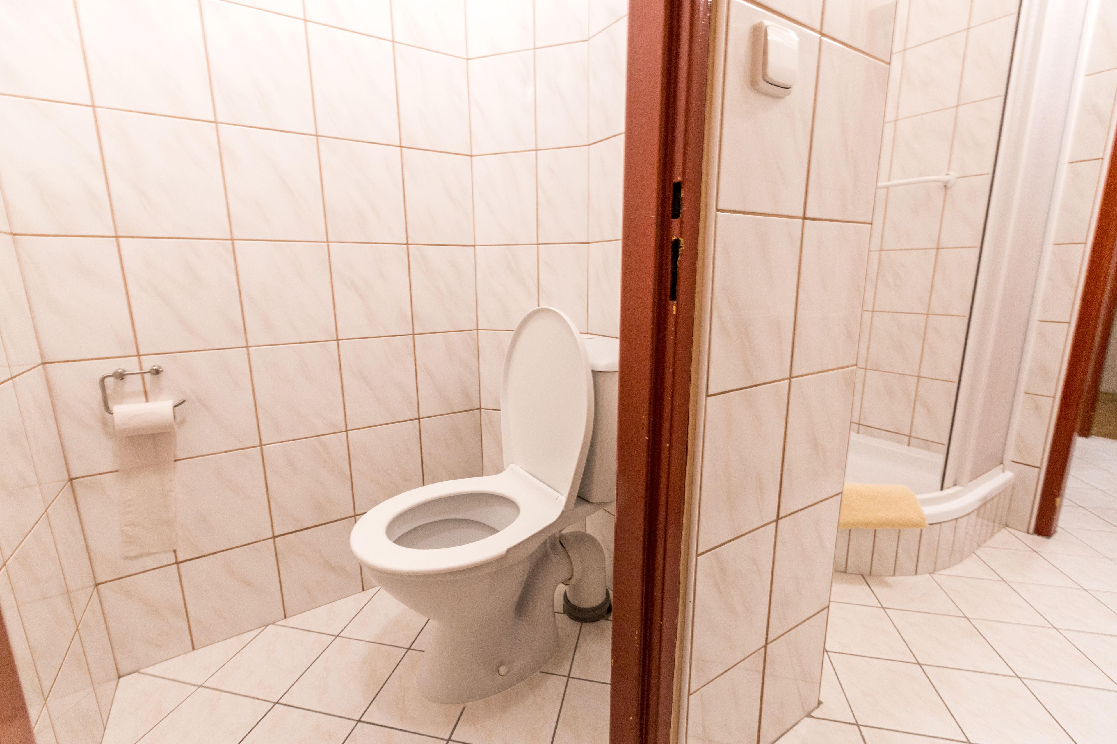 A bathroom with a toilet, a shower, and a toilet paper holder.