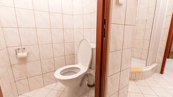 A bathroom with a toilet, a shower, and a toilet paper holder.
